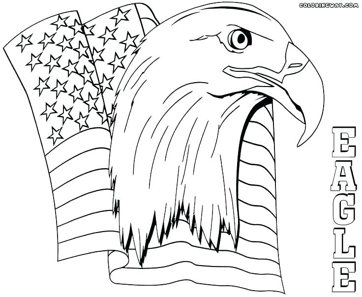 736x604 Harpy Eagle Coloring Page Harpy Eagle Coloring Page Bald Eagle