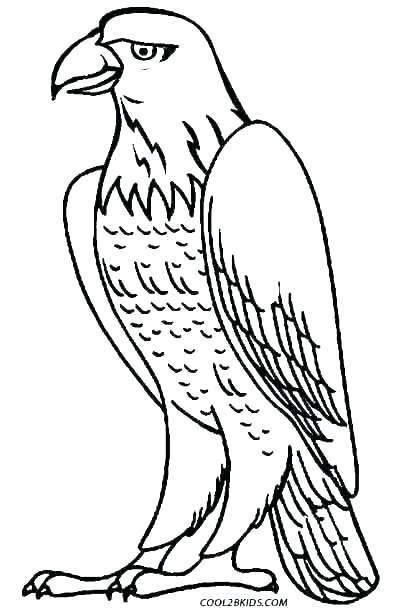 398x610 Philadelphia Eagles Coloring Pages Printable Eagle Page For Kids