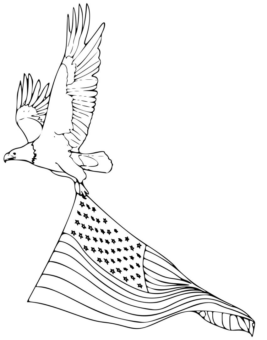 850x1080 Coloring Pages For Kids Birds Bald Eagle Printable Animals Free