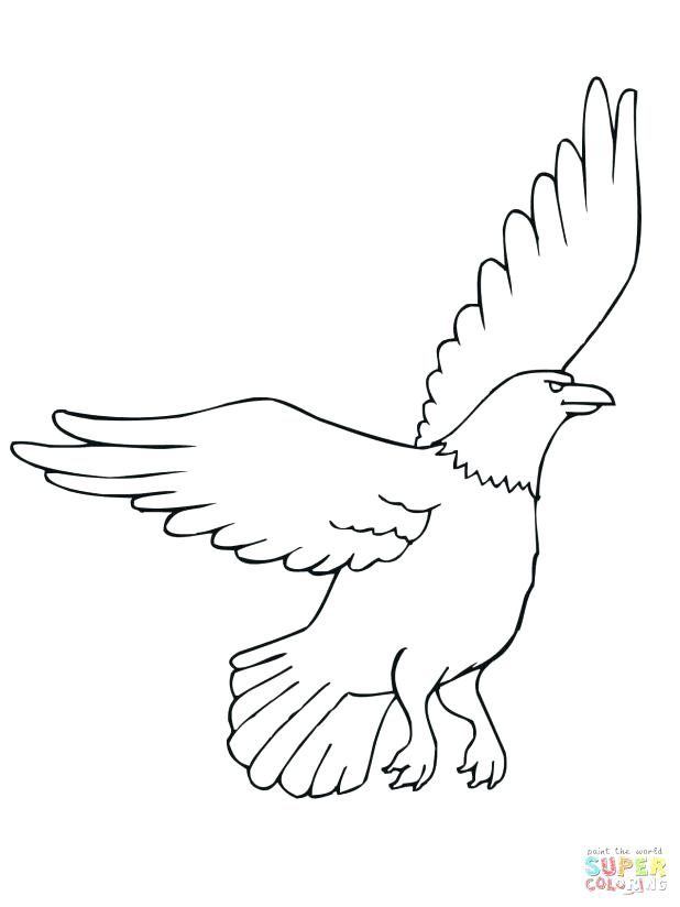 Eagle Feather Coloring Page at GetDrawings | Free download