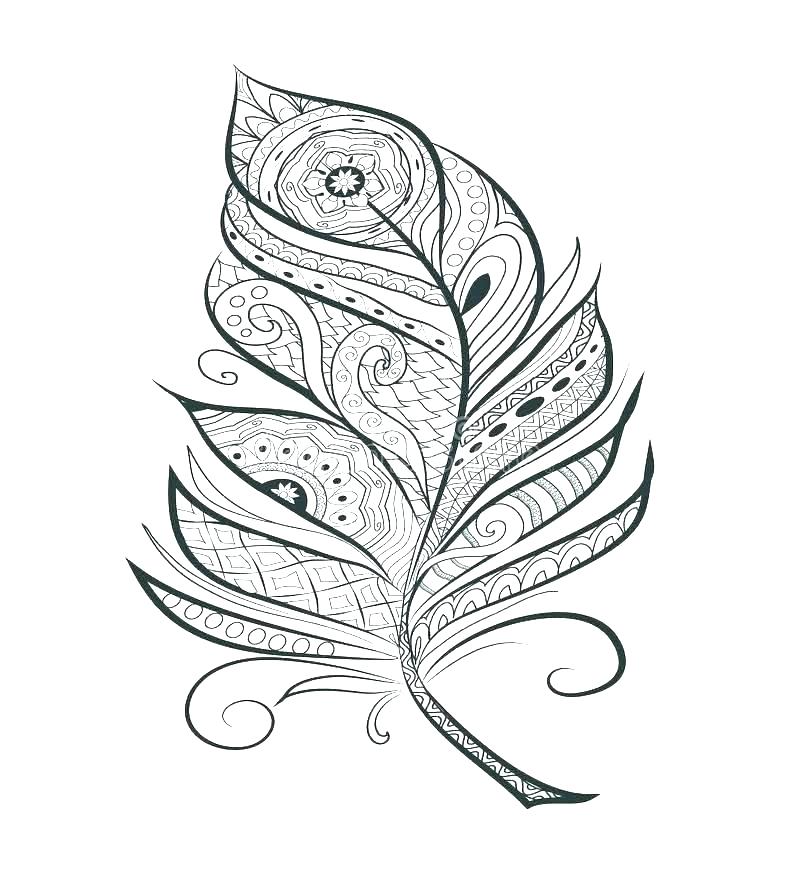 800x889 Feather Coloring Page Stylized Feather Coloring Page Hand Stock