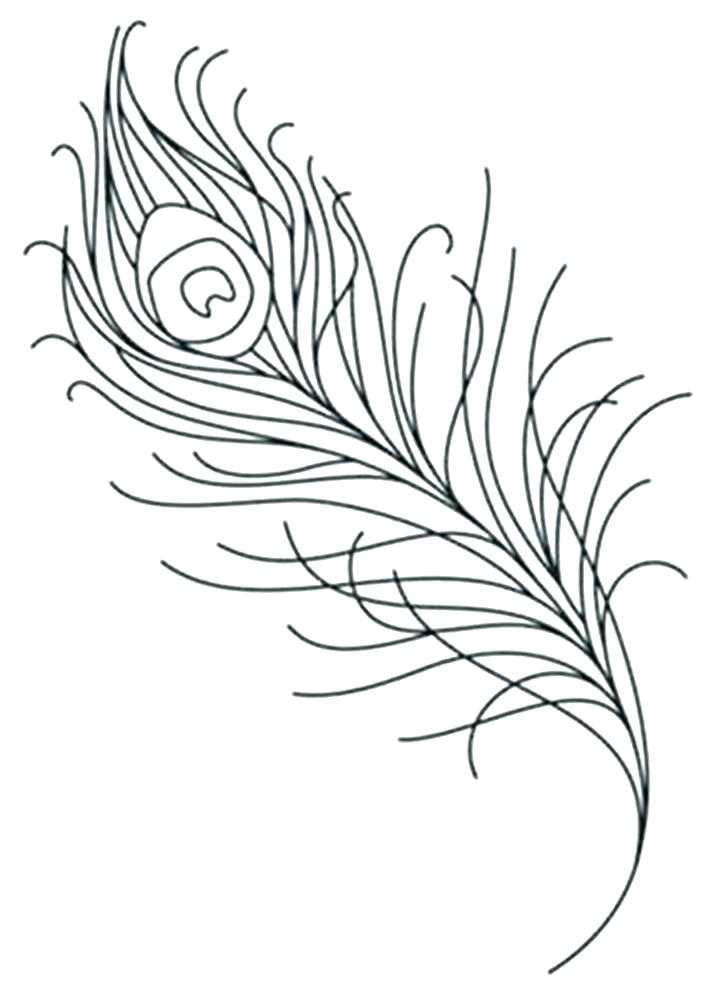 716x998 Feather Coloring Pages Free Printable Turkey Coloring Pages Free