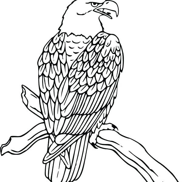 600x600 Coloring Pages Of Eagles Eagle Flying Coloring Pages Excellent