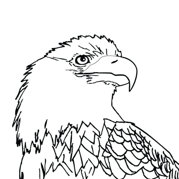600x600 Eagle Coloring Pages Coloring Pages Football Coloring Pages