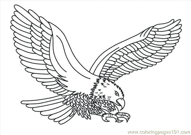 650x461 Eagle Coloring Pages Printable Fourth Of Coloring Page Of A Bald