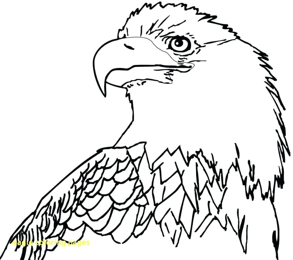 940x836 Eagles Coloring Pages Cortefocalsite Eagles Coloring Pages Bald