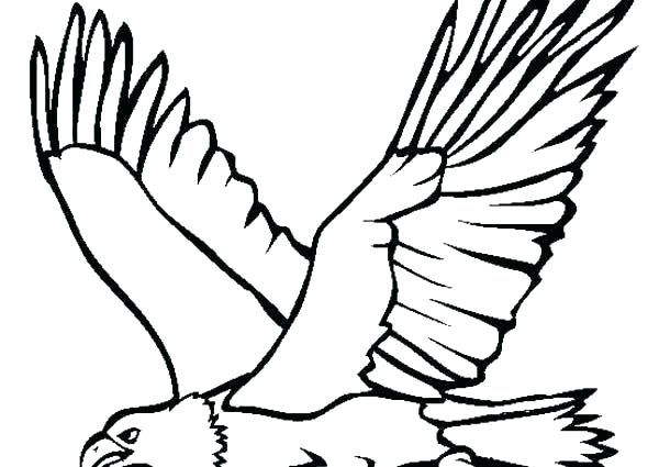 600x425 Eagle Coloring Page