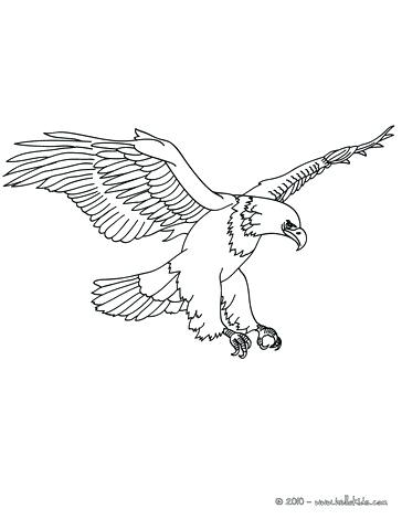 364x470 Coloring Pages Of Eagles Eagle Printable Eagle Printable Coloring