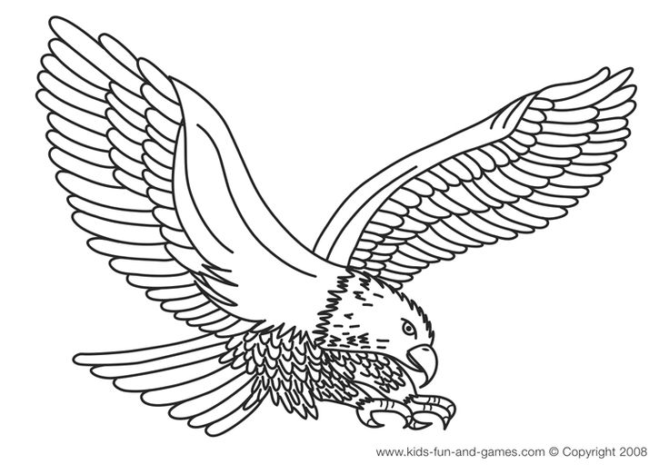736x522 Eagle Printable Coloring Pages