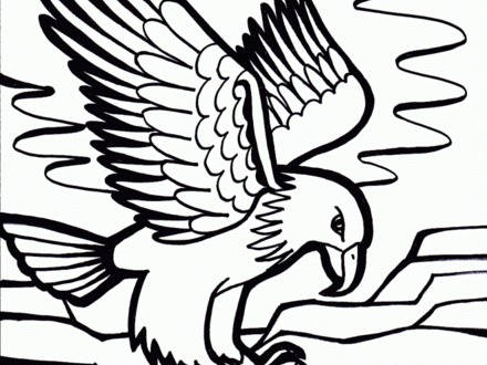 eagle printable coloring pages at getdrawings  free