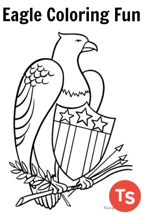 600x900 Ready To Print Eagle Coloring Pages For Kids This Fun Theme Is