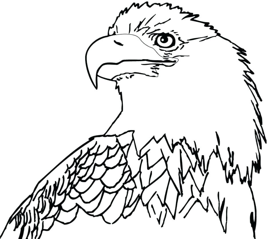 940x836 Eagle Printable Coloring Pages Professional