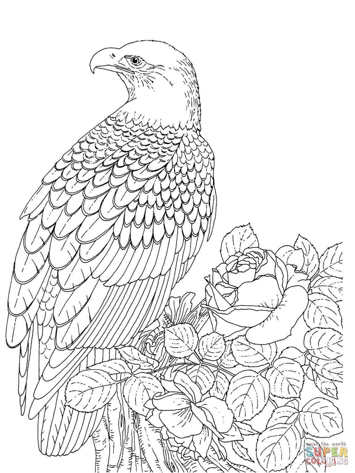 1200x1600 Realistic Bald Eagle Coloring Page Free Printable Coloring Pages