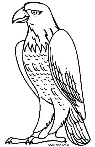 398x610 Eagle Coloring Pages Bald Eagle With Smooth Feather Coloring Page