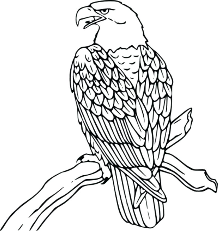 844x893 Eagles Logo Coloring Page Free Printable Coloring Pages Coloring