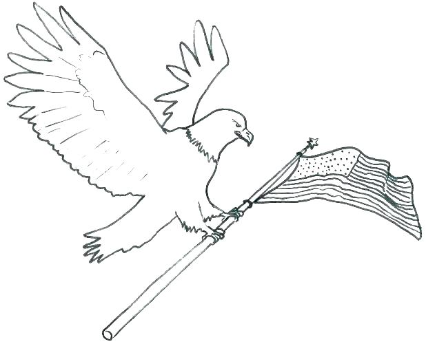 618x503 Philadelphia Eagles Coloring Pages How To Draw Eagles Logo Team