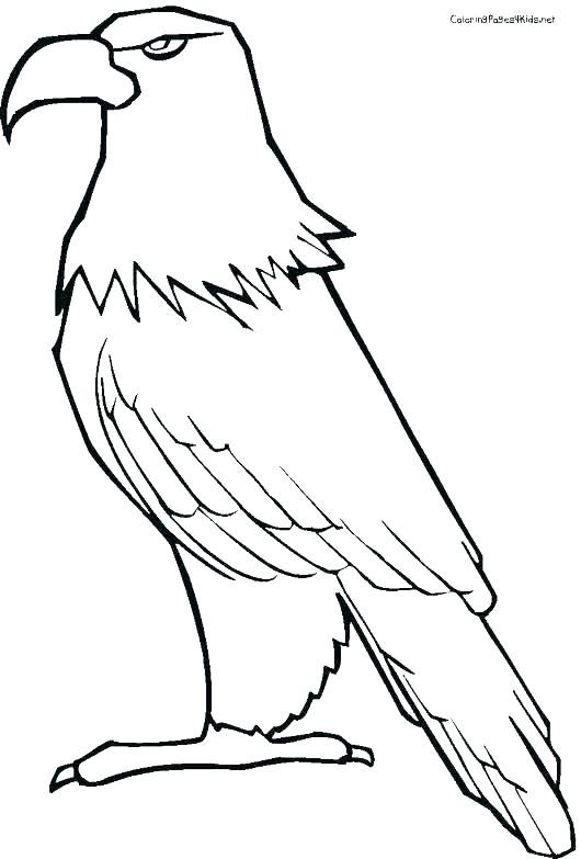 530x783 Coloring Pages Of Eagles Eagles Coloring Pages Bald Eagle Coloring