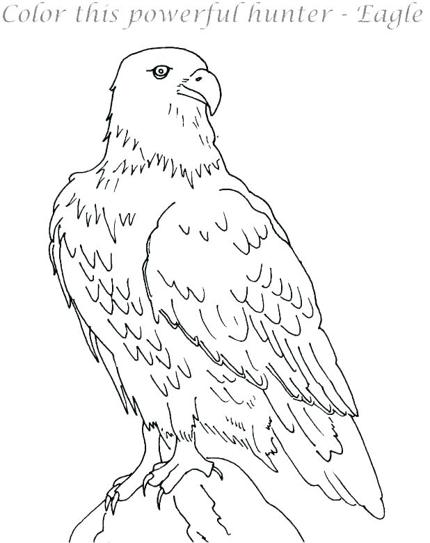 618x780 Coloring Pages Of Eagles Eagles Logo Coloring Page Eagles Coloring