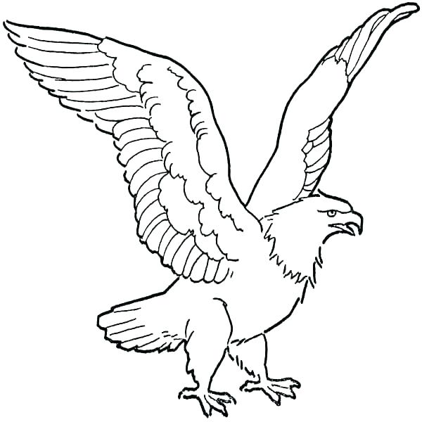 600x600 Coloring Pages Of Eagles Logos Coloring Pages Eagles Logo Coloring