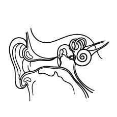 230x230 Ear Coloring Page Ears Coloring Page Listening Crafts Google