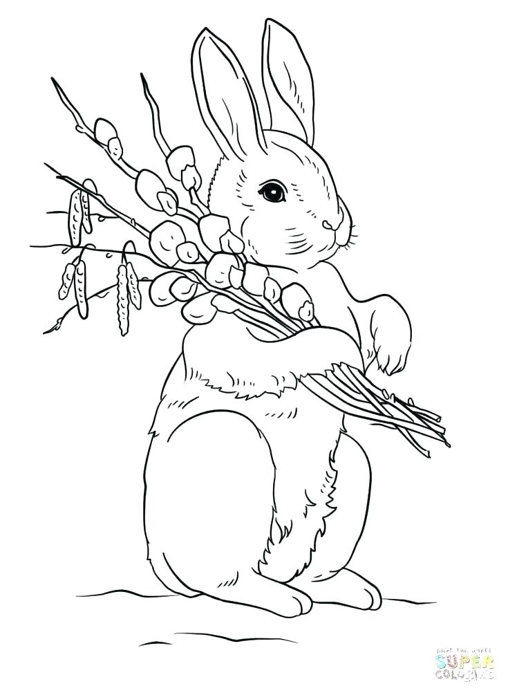 735x1005 Ear Coloring Sheets Ears Coloring Page Bunny Awesome Cute Pages
