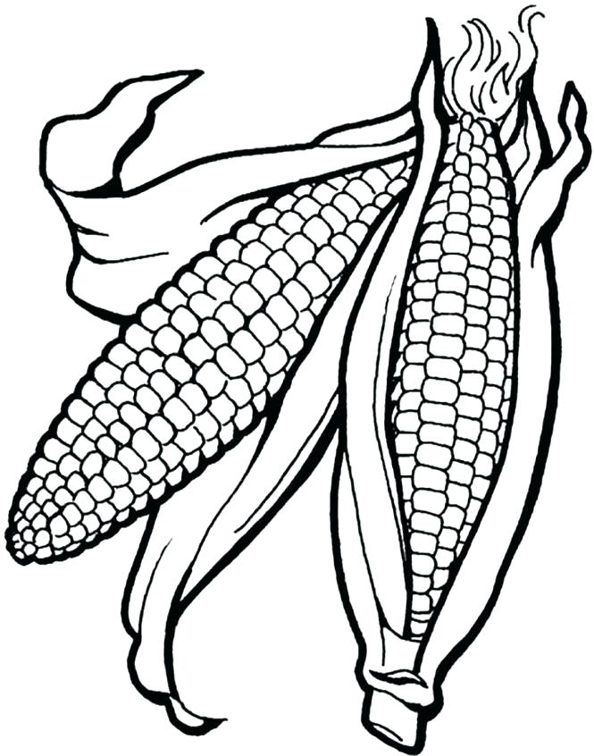 665x846 Ear Of Corn Coloring Page
