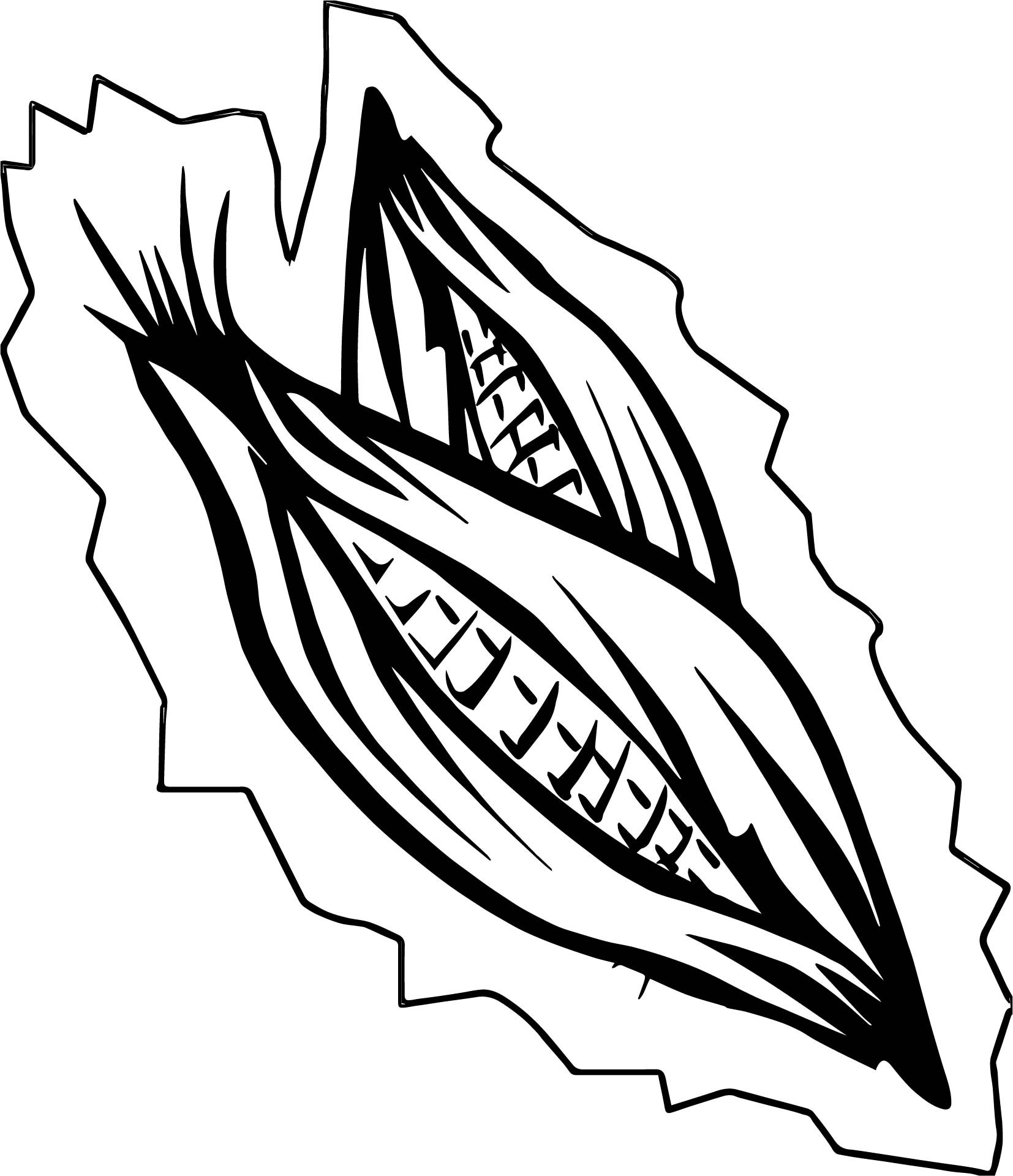 1654x1920 Corn Coloring Pages Excellent Impressive Clip Art Ear Of Page