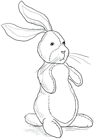 339x480 Bunny Rabbit Coloring Pages Rabbit Colouring Pages Bunny Rabbit