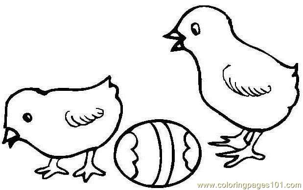619x389 Easter Hen Chick Coloring Page