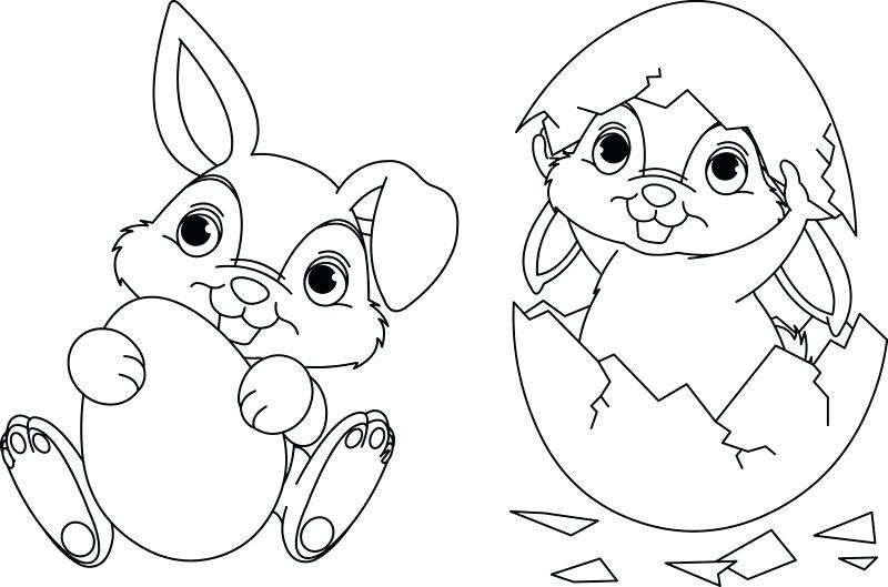 800x529 Bunny Easter Coloring Pages Spring Bunny Coloring Sheet A Spring
