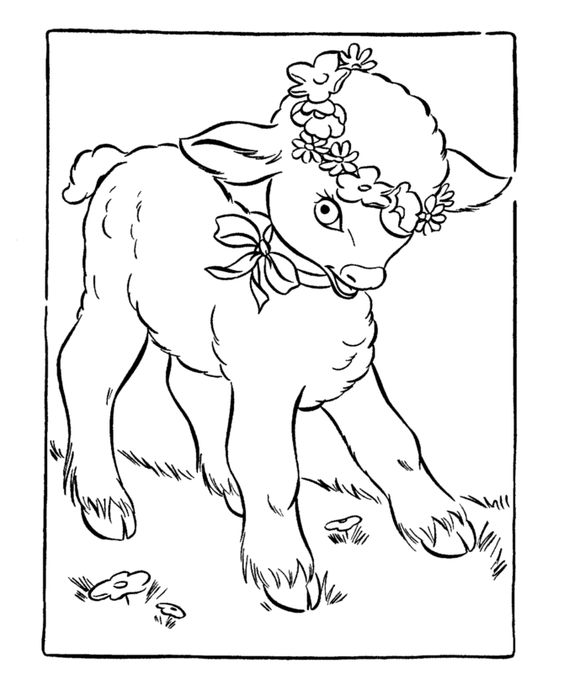 564x690 Easter Lamb Coloring Page Free Download