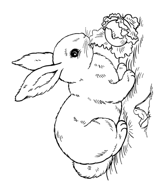 Easter Peeps Coloring Pages at GetDrawings | Free download