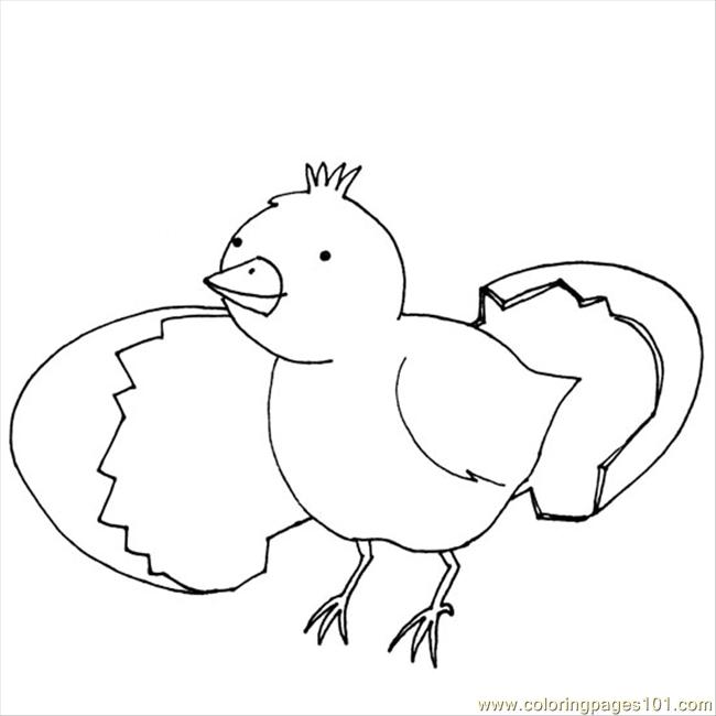 650x650 Chick Peep And Egg Coloring Page