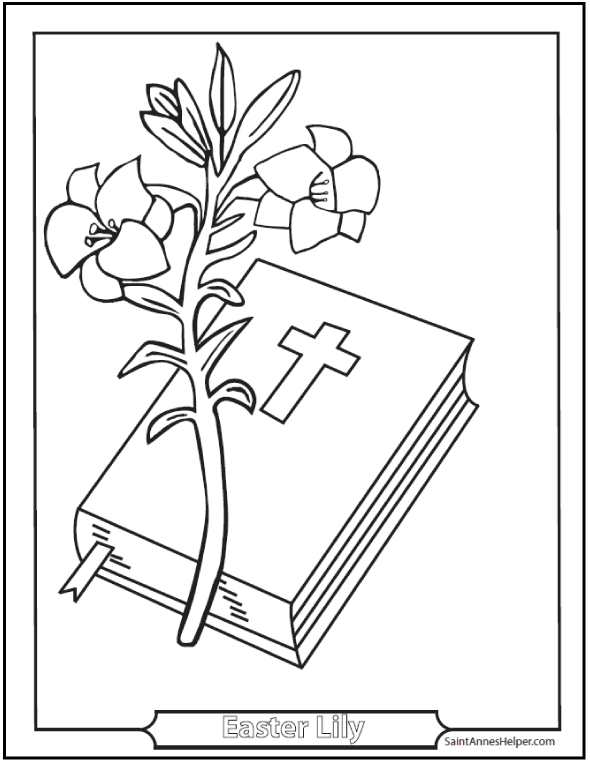 590x762 Easter Lily Coloring Page With Bible