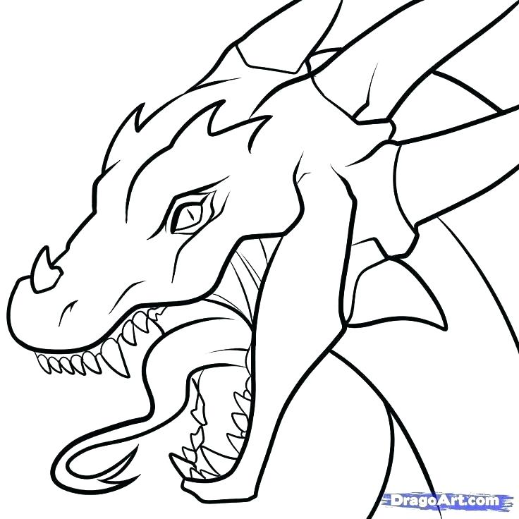 736x736 Stuffed Animal Coloring Pages Easy Animal Coloring Pages Stuffed