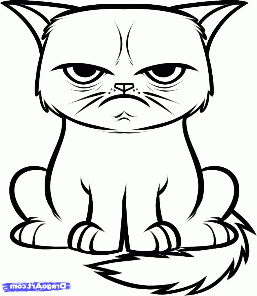 887x1024 Image Result For Cats Drawings Easy Coloring Pages