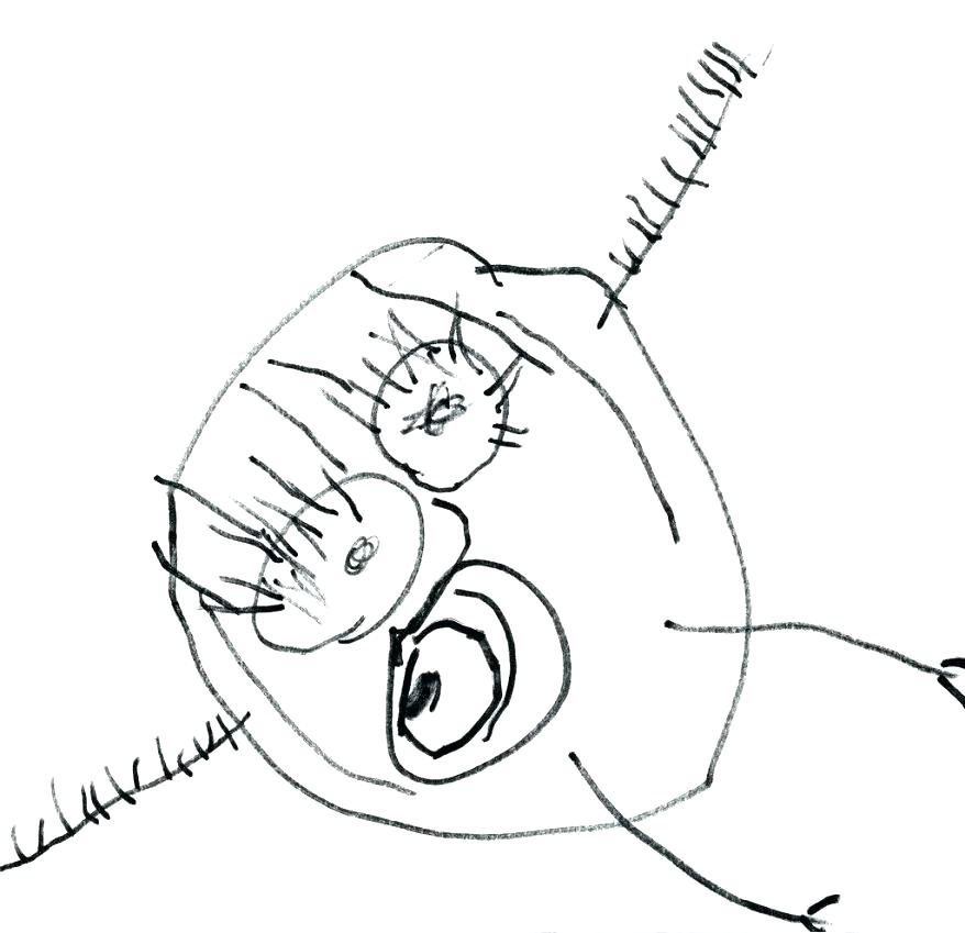 878x849 Coloring Sheets Year Olds Awesome Coloring Pages For Year