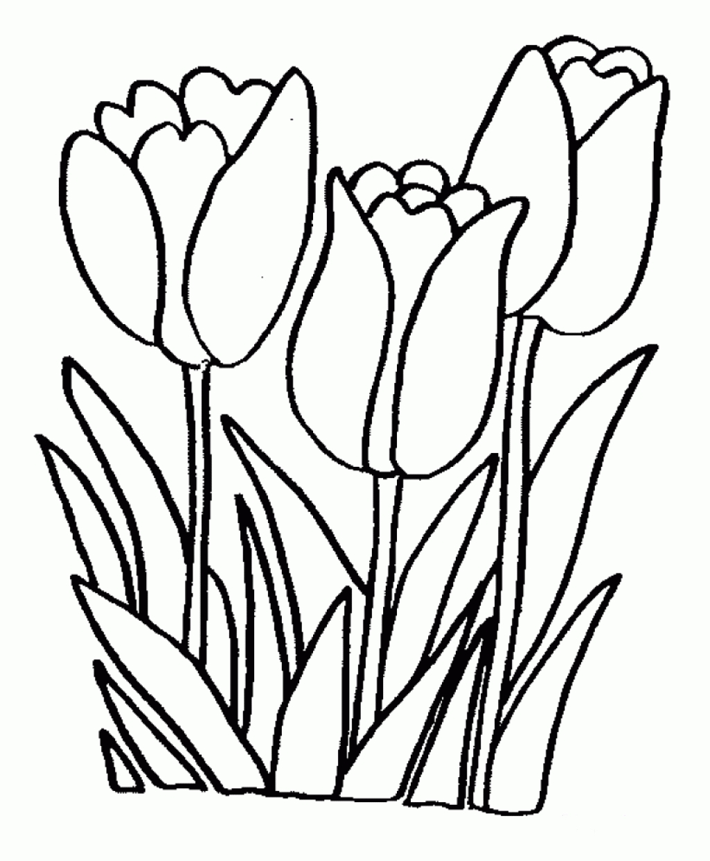 1025x1243 Free Coloring Pages Website