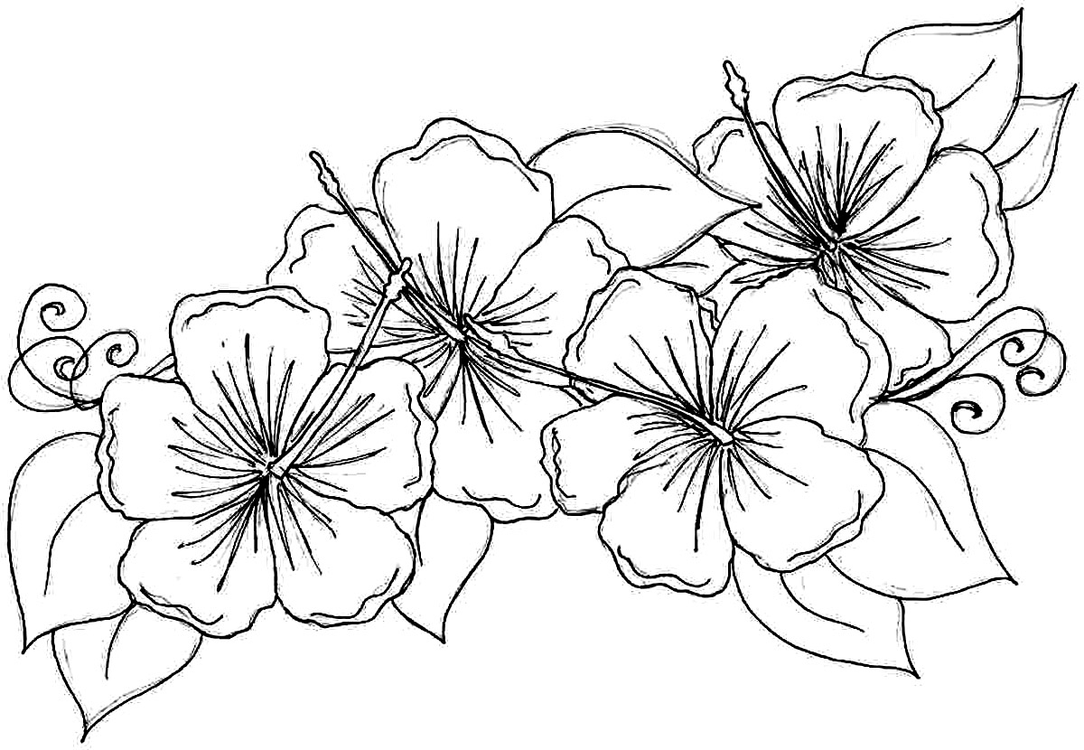 1200x830 Survival Colour Pages Of Flowers Free Coloring
