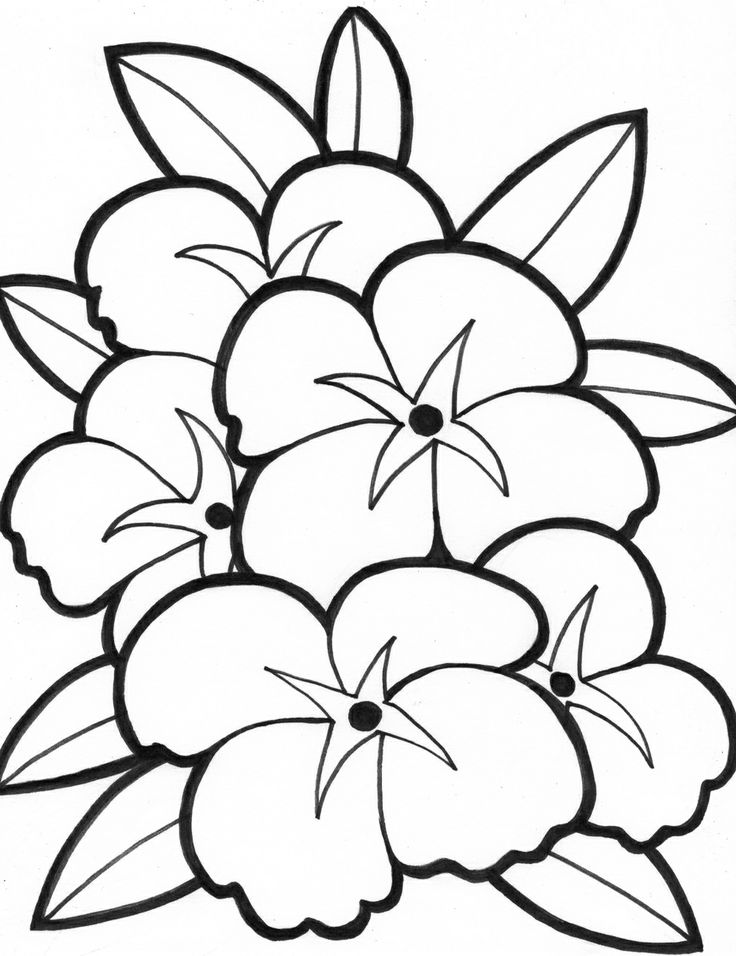 736x956 Spectacular Idea Coloring Pages Draw Easy Flowers
