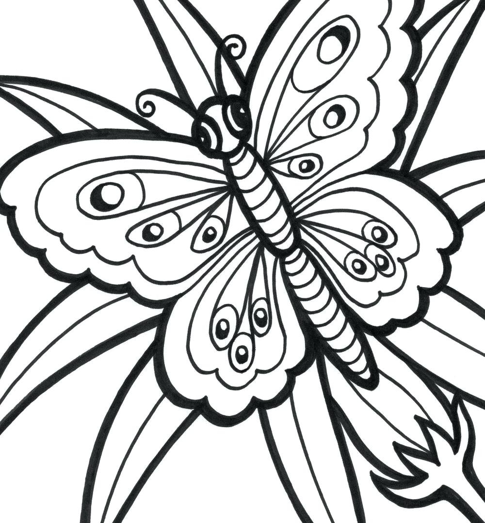 1000x1080 New Easy Butterfly Adult Coloring Pages Design Printable
