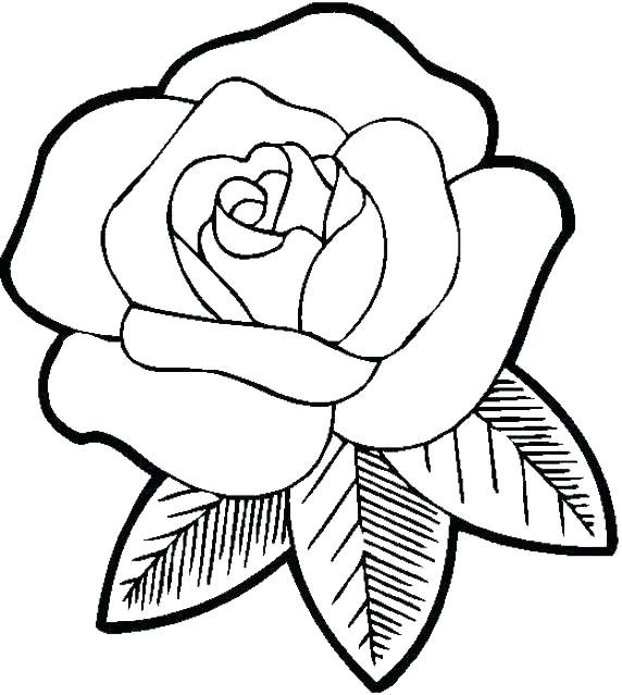 572x639 Free Easy Coloring Pages Printable Coloring Coloring Pages Free