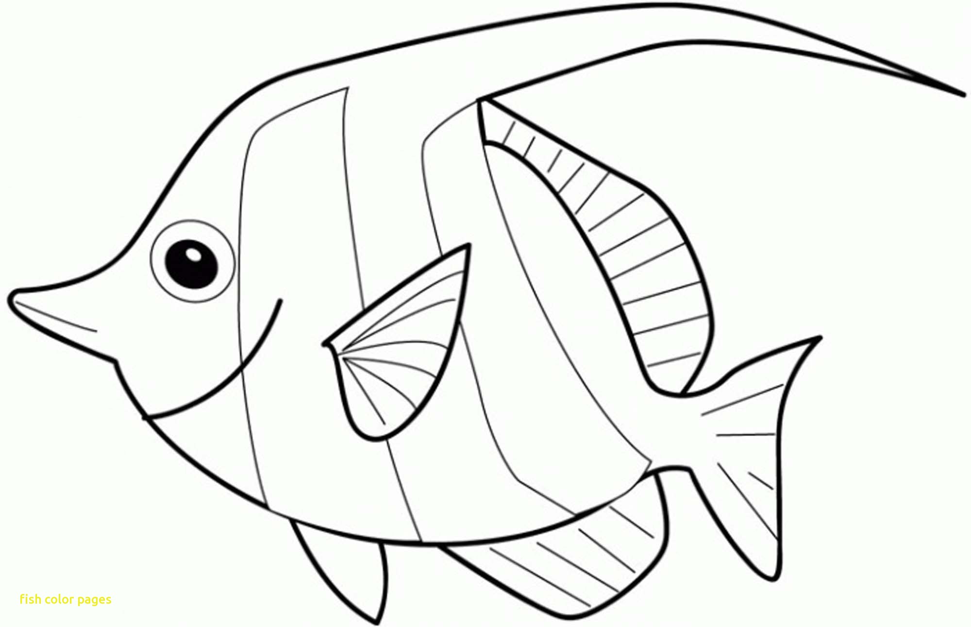 2000x1291 Fresh Easy Coloring Pages Of Fish
