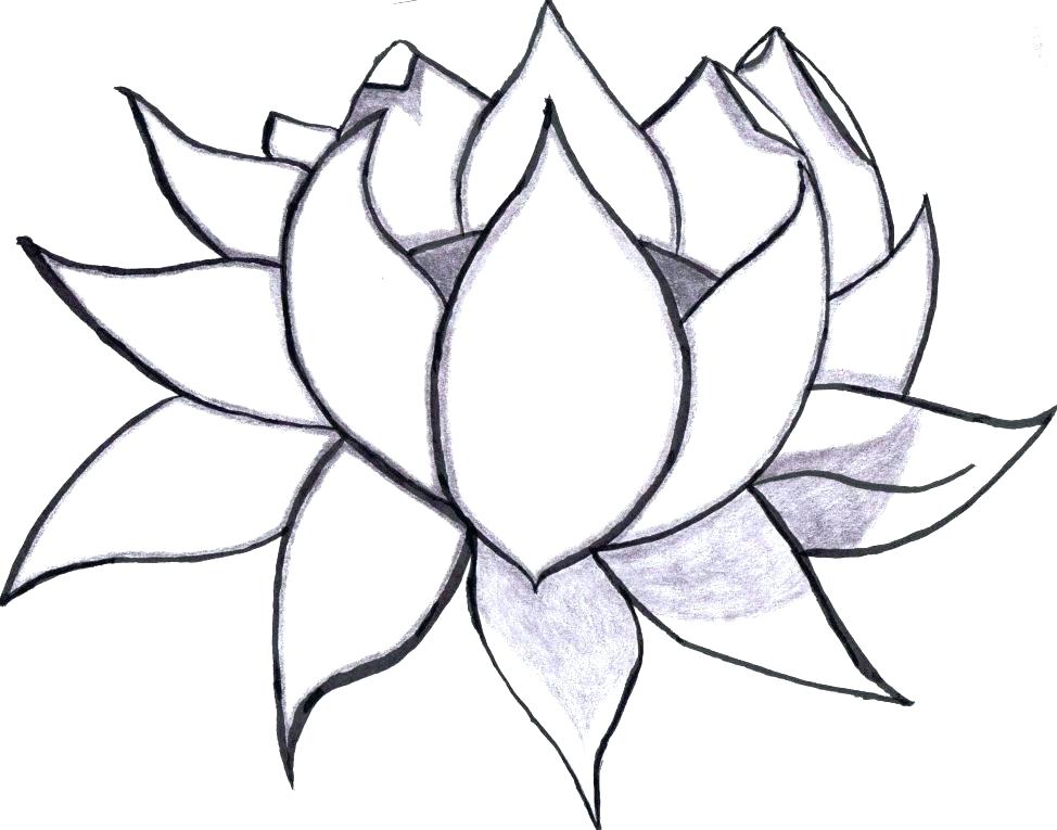 974x765 Easy Flower Coloring Pages Unique Flowers Color Pages Or Flower