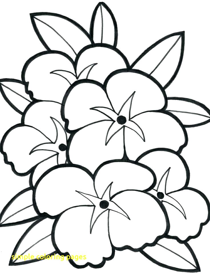 736x956 Flower Coloring Pages Simple Simple Coloring Pages With Easy