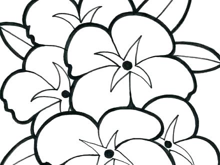 440x330 Simple Flower Coloring Pages Coloring Pages Bunny Face Draw Easy