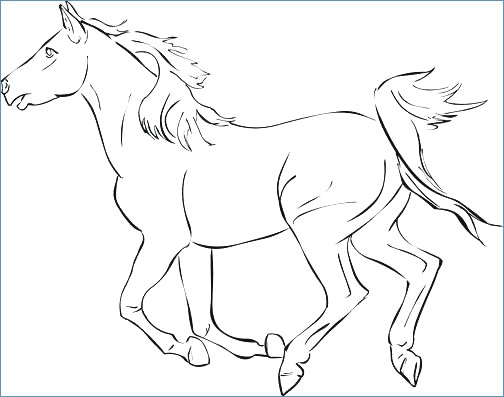 504x397 Cute Horse Coloring Page