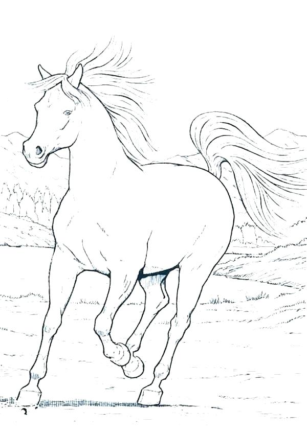 600x847 Free Horse Coloring Pages Horses Coloring Pages Printable As Well
