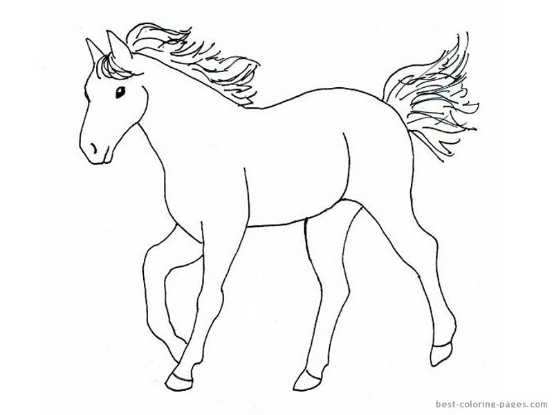 801x600 How To Draw Horses Coloring Page