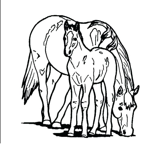 600x613 Coloring Baby Horses Coloring Pages Horse Pictures Head Free Plus